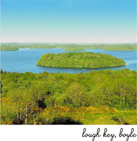Lough Key landscape