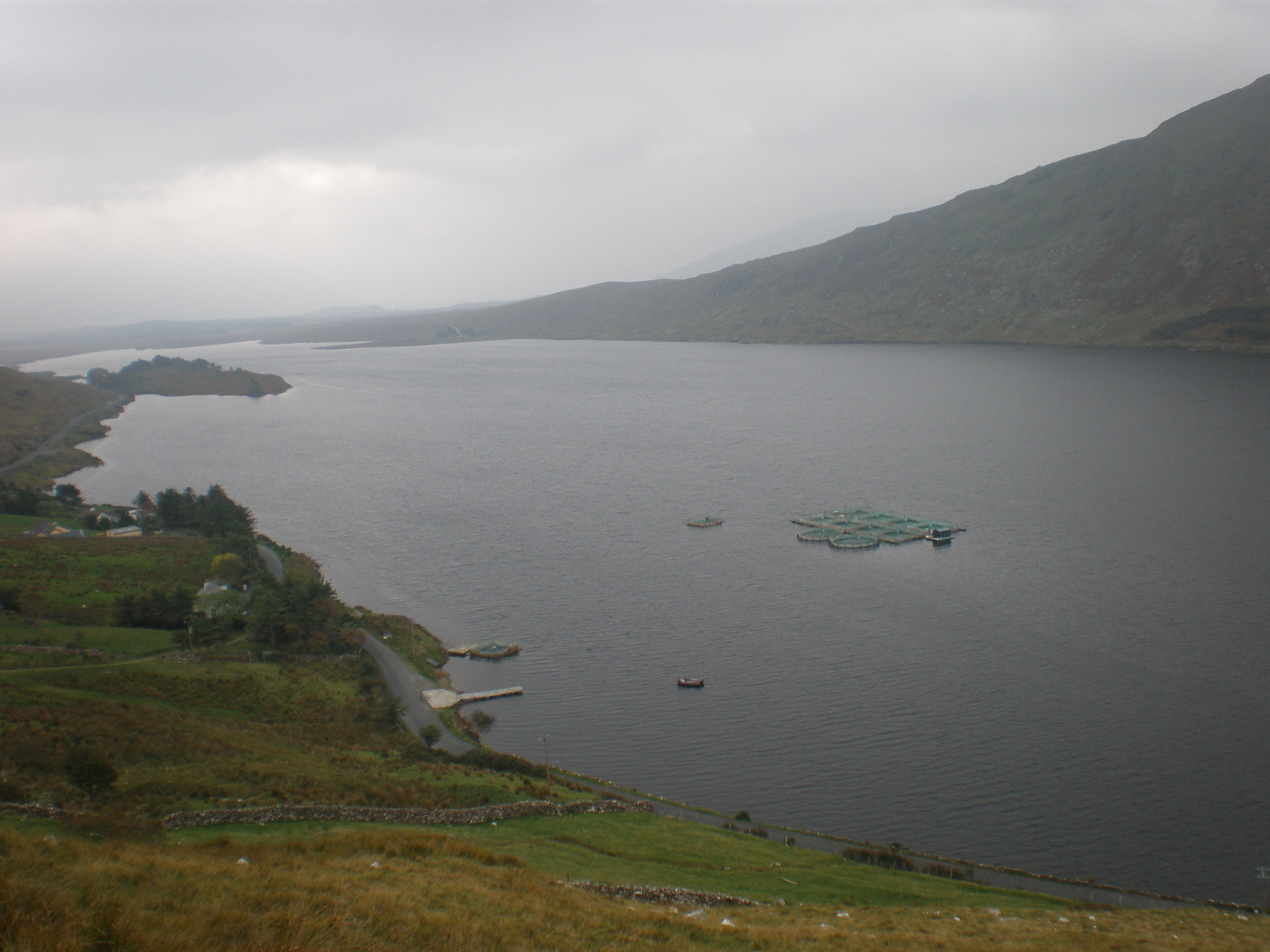 View of Lough Fidh