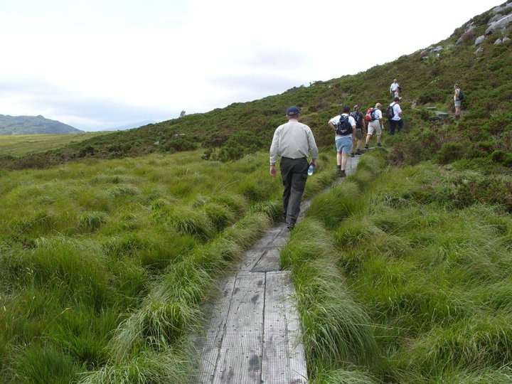 Bus Driver drives from the back.  Taken by Piaras 