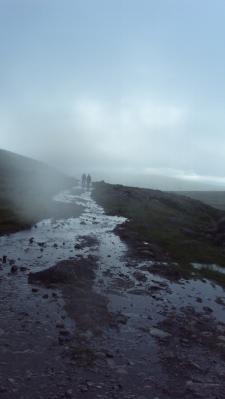 Picture taken by Clare Doohan