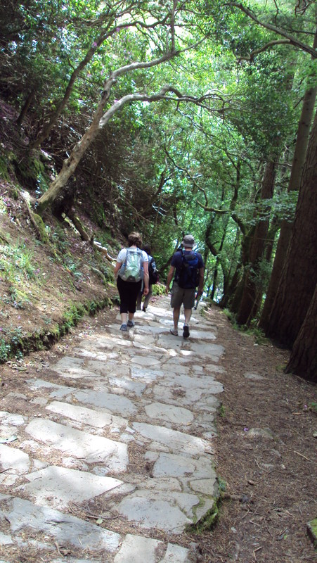 Picture taken by Clare Doohan