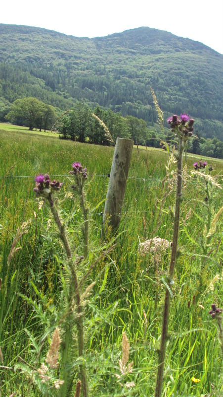 Picture taken by Clare Doohan