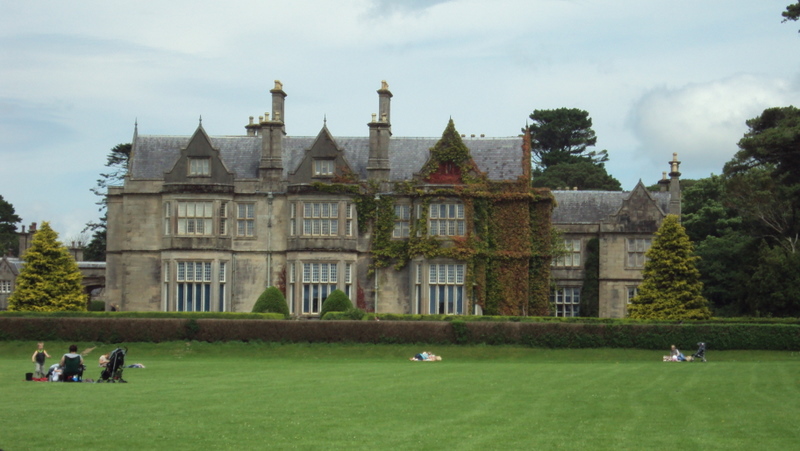 Picture taken by Clare Doohan