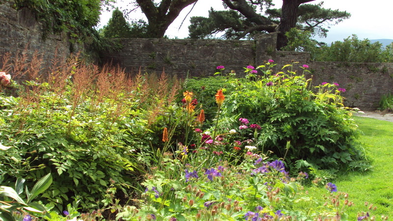 Picture taken by Clare Doohan