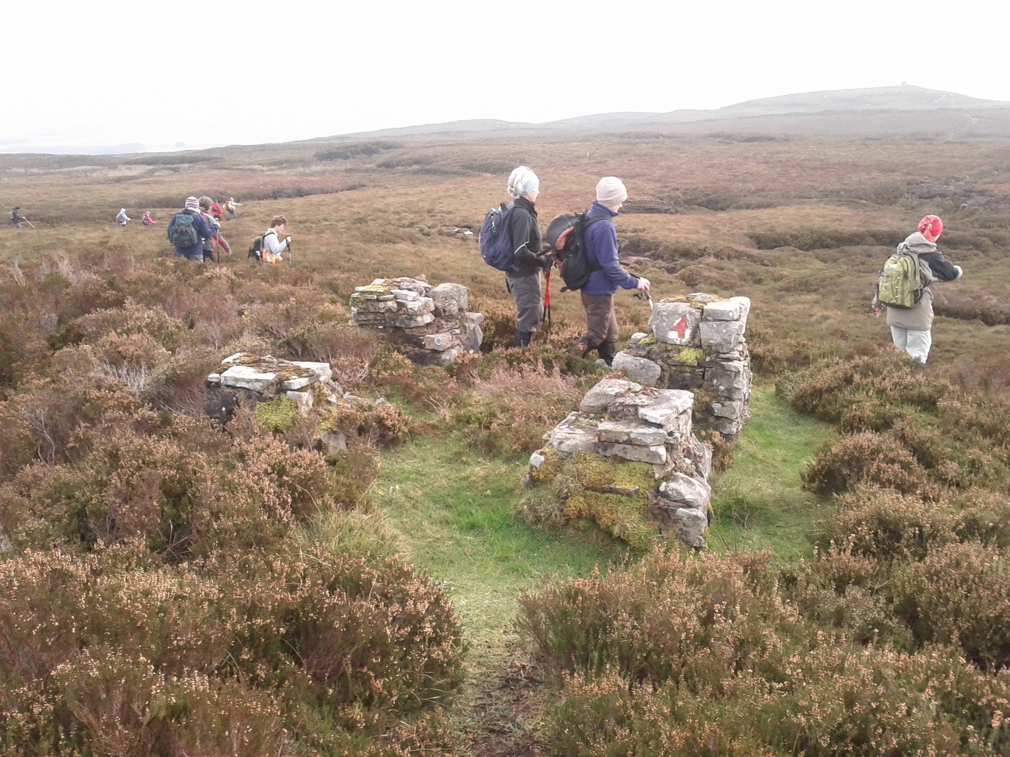 Crosshill Museum Famine Grave