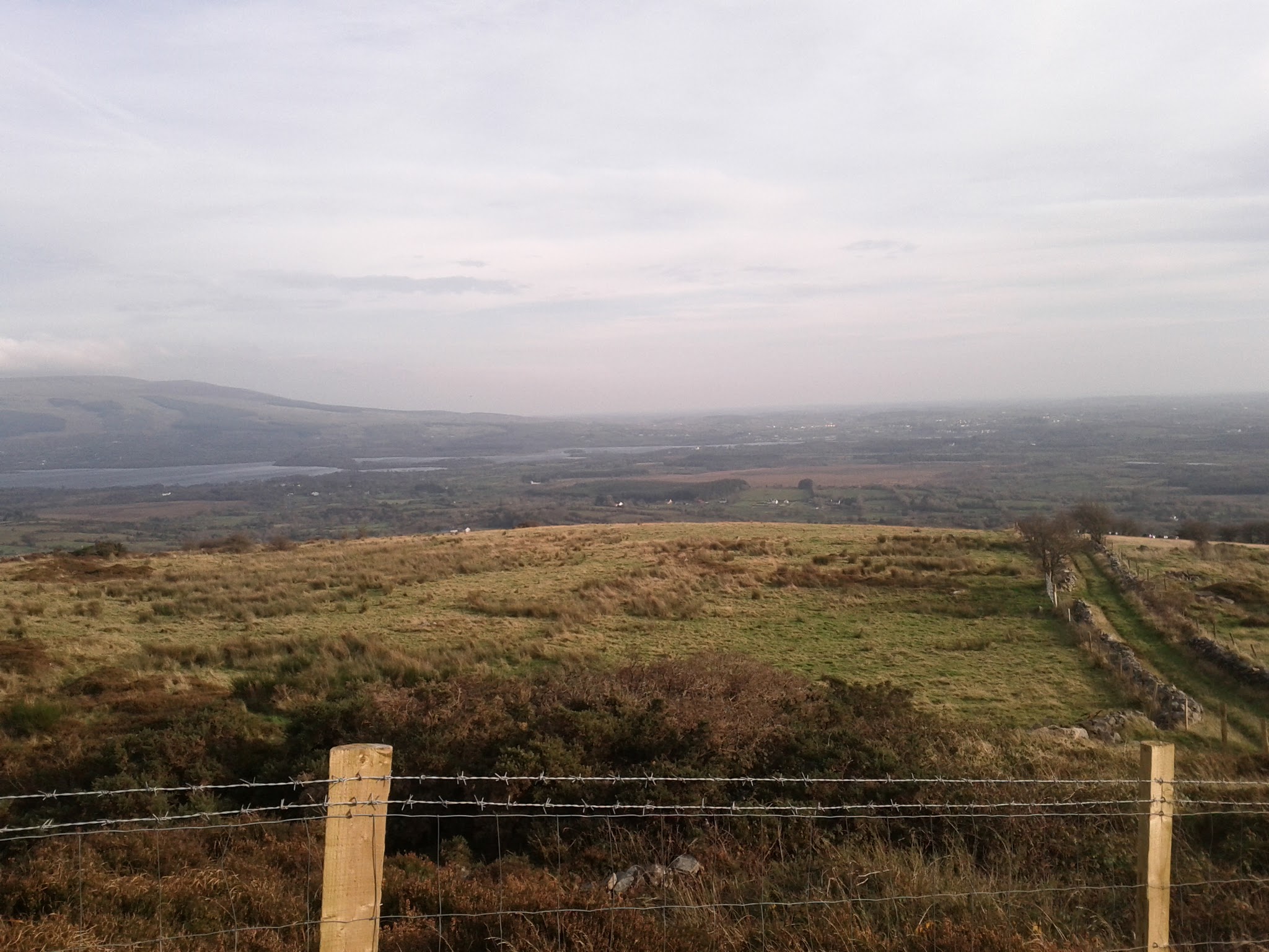 Crosshill Museum Famine Grave